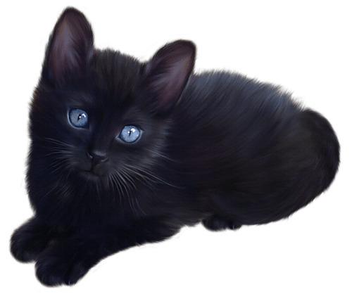 Cute Little Black Cat png transparent