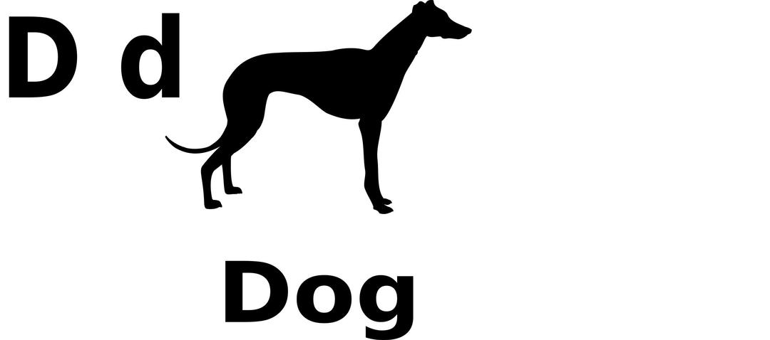 D for Dog  png transparent