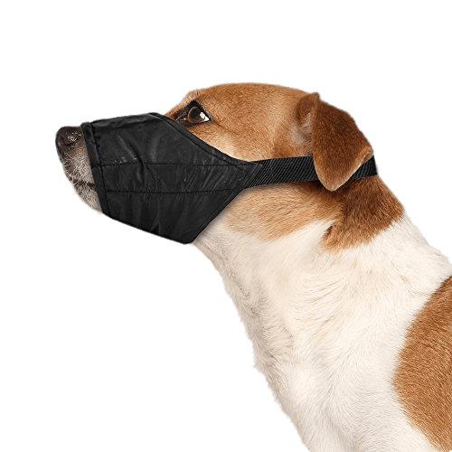 Dog Wearing Safety Muzzle png transparent