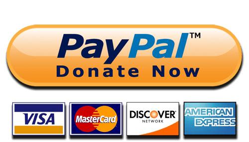 Donate Now Paypal and Cards Button png transparent
