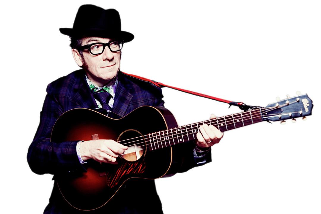 Elvis Costello Holding His Guitar png transparent