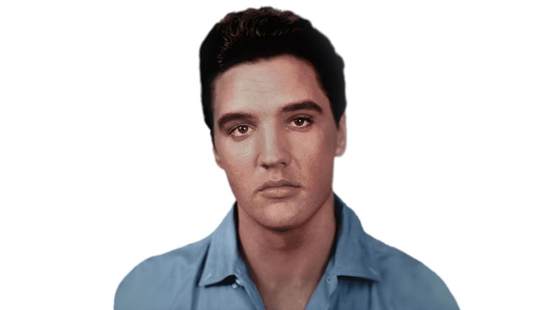 Elvis Presley Portrait png transparent