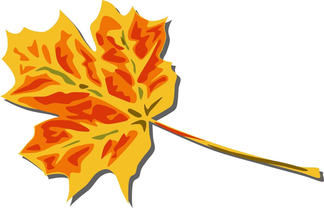 Fall Leaves png transparent