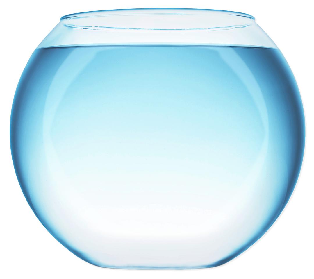 Fish Bowl With Water png transparent