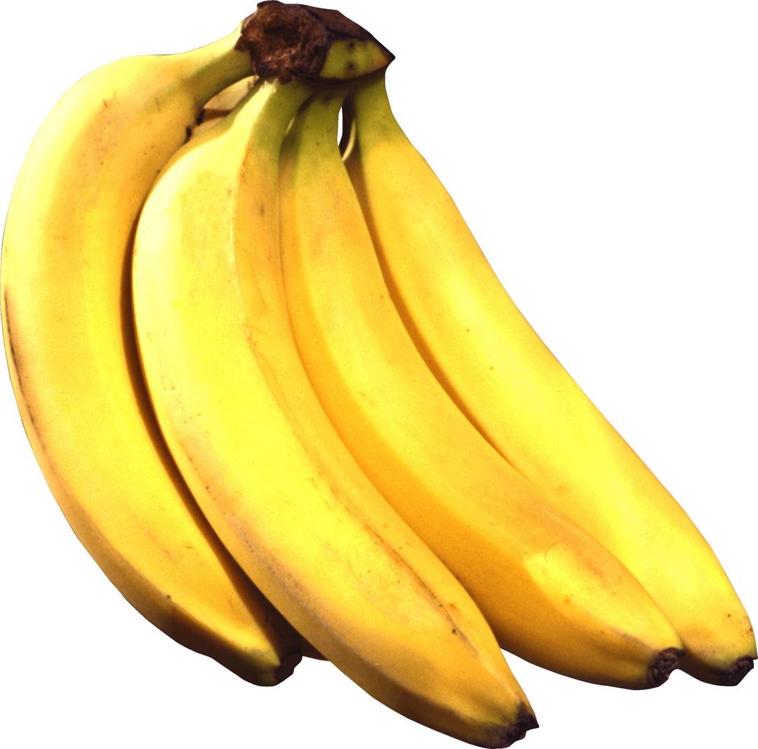 Four Bananas png transparent