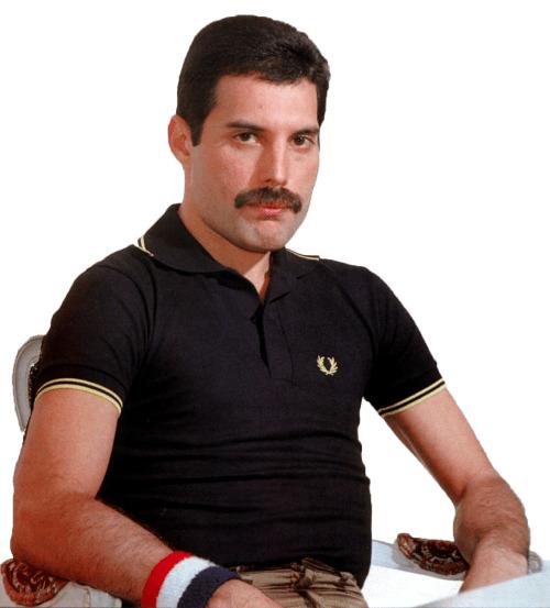 Freddie Mercury Sitting png transparent