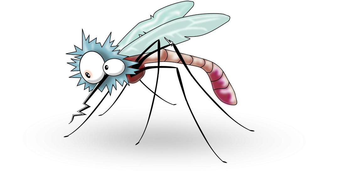 Funny Mosquito from side png transparent