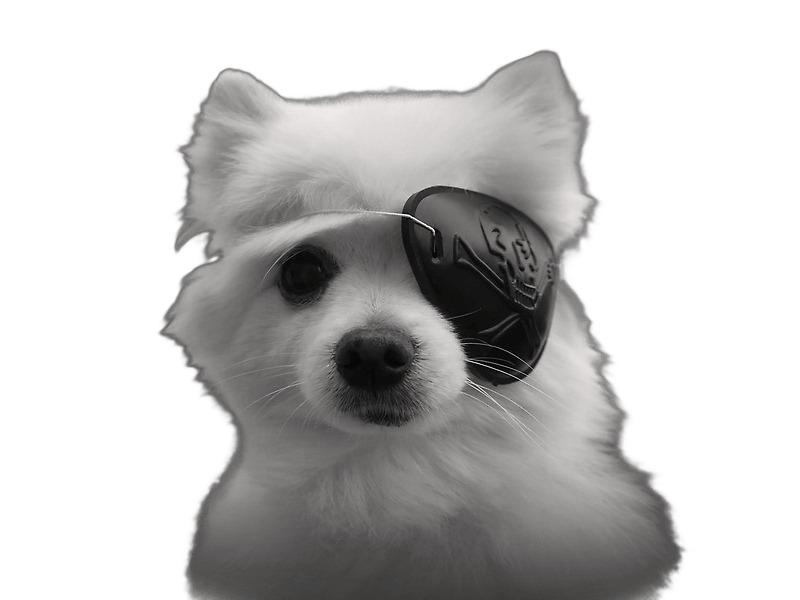 Gabe the Dog Eyepatch png transparent