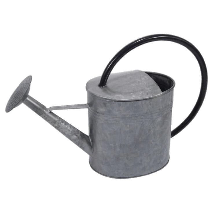 Galvanised Watering Can png transparent