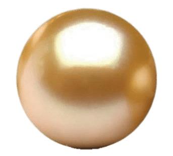 Golden South Sea Pearl png transparent
