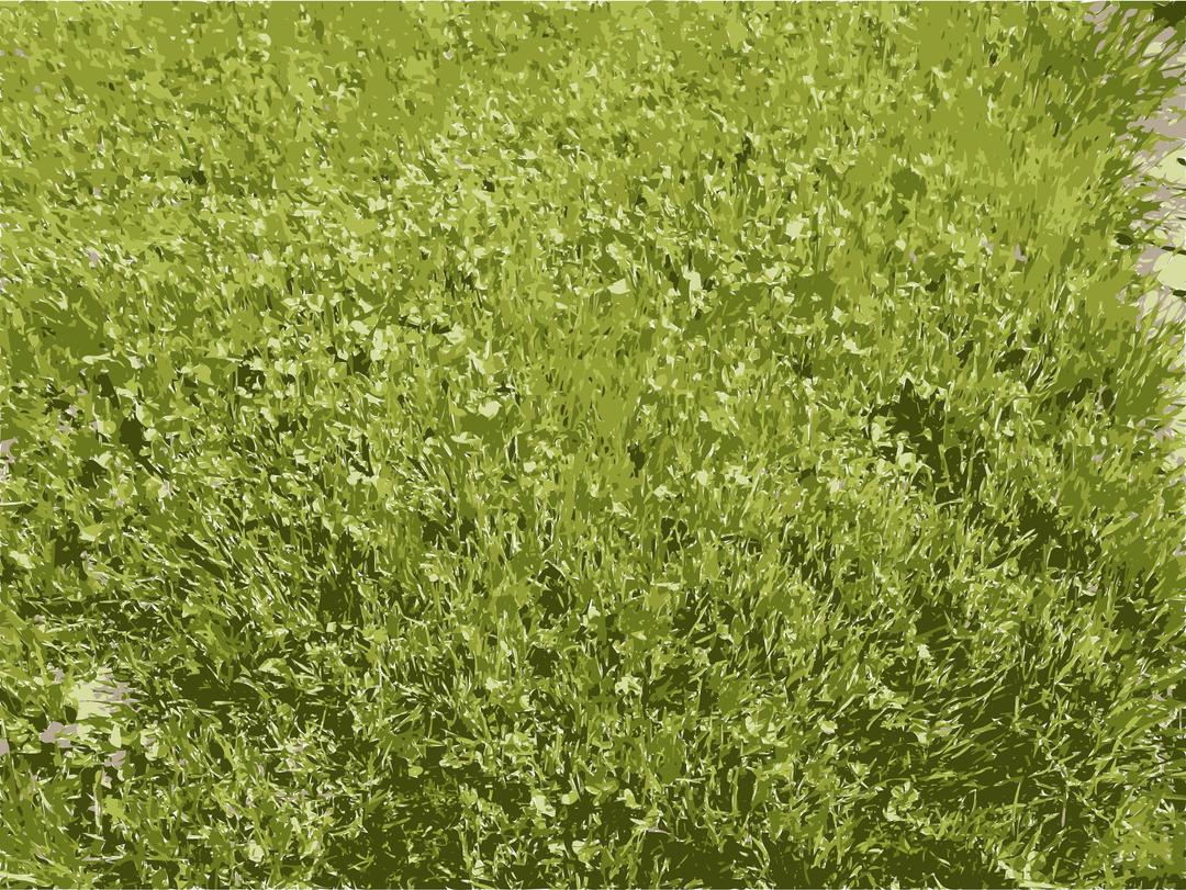 Grass Details in Missouri png transparent