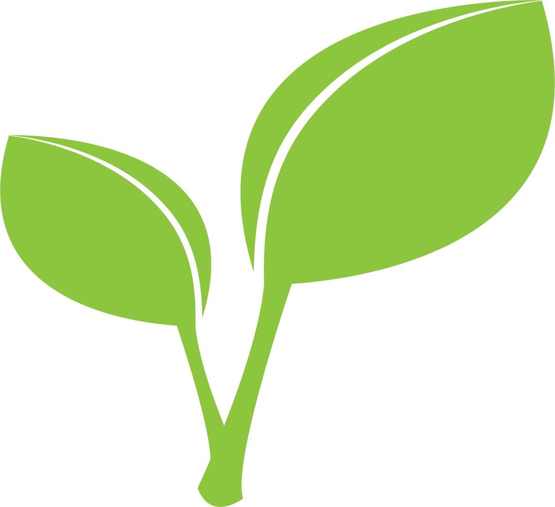 Green Leaves Graphics png transparent