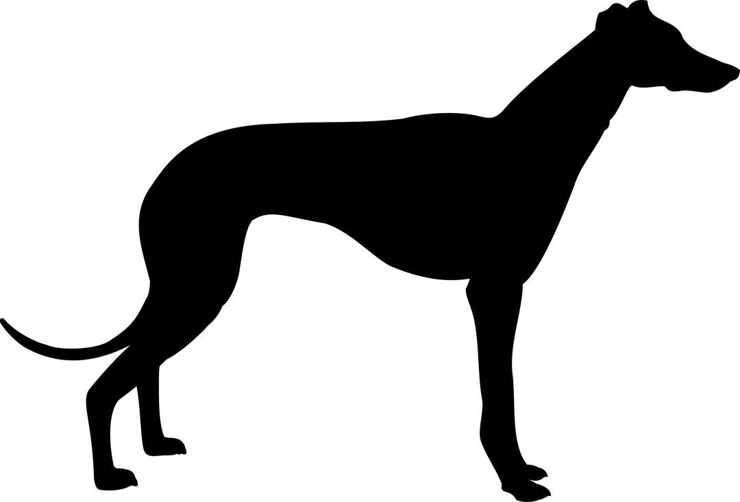 greyhound silhouette png transparent