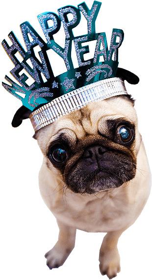 Happy New Year Dog png transparent