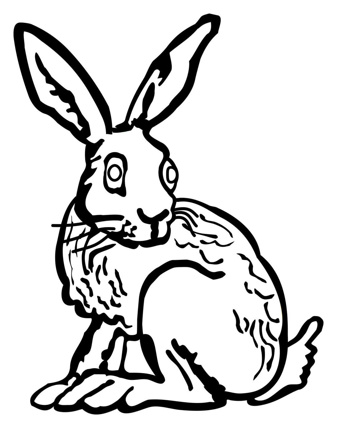 hare - lineart png transparent