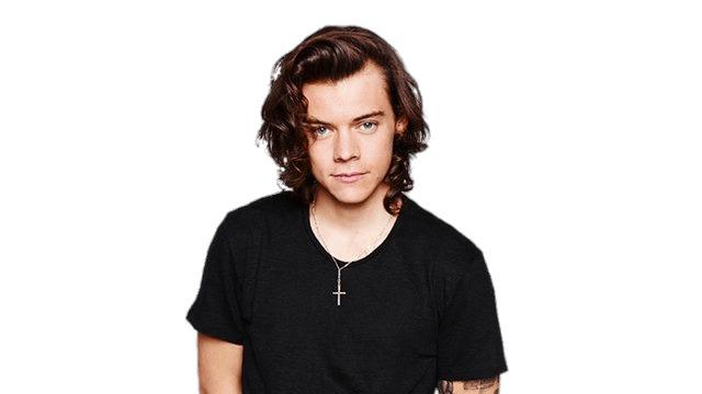 Harry Styles Cross Necklace png transparent