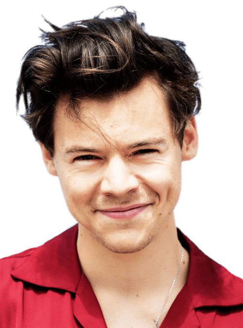 Harry Styles Red Shirt png transparent