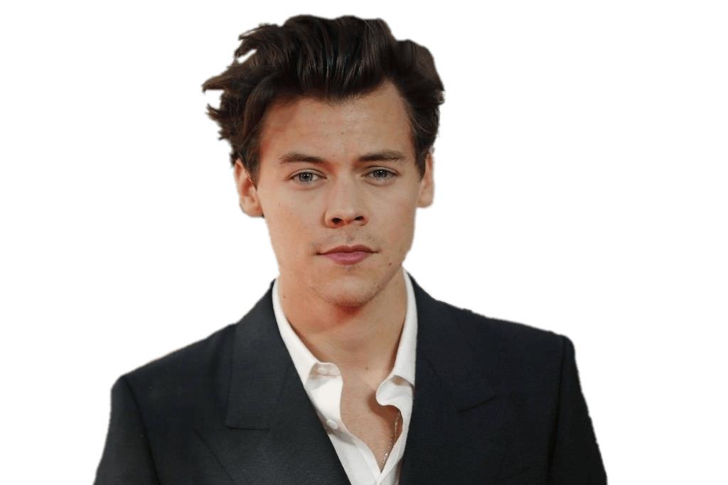Harry Styles png transparent