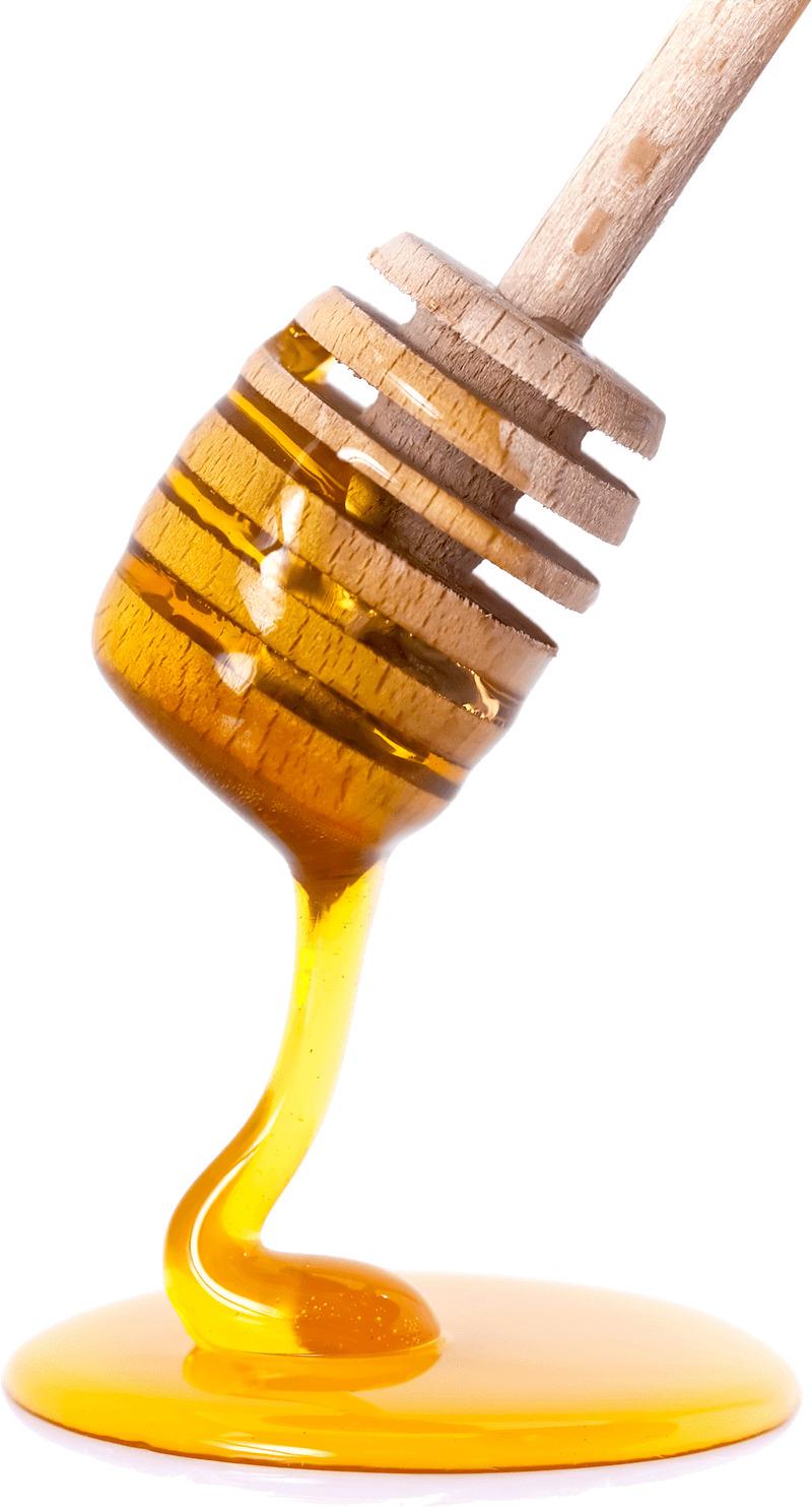 Honey Spoon png transparent