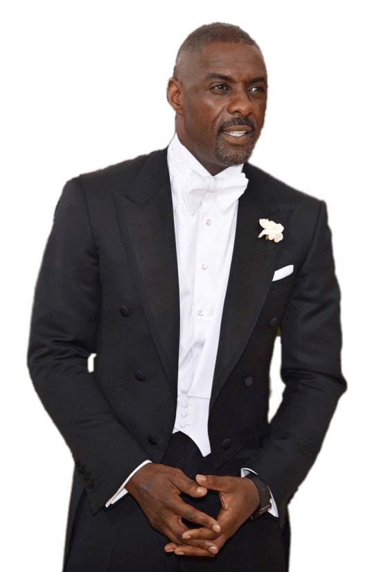 Idris Elba Gala Outfit png transparent