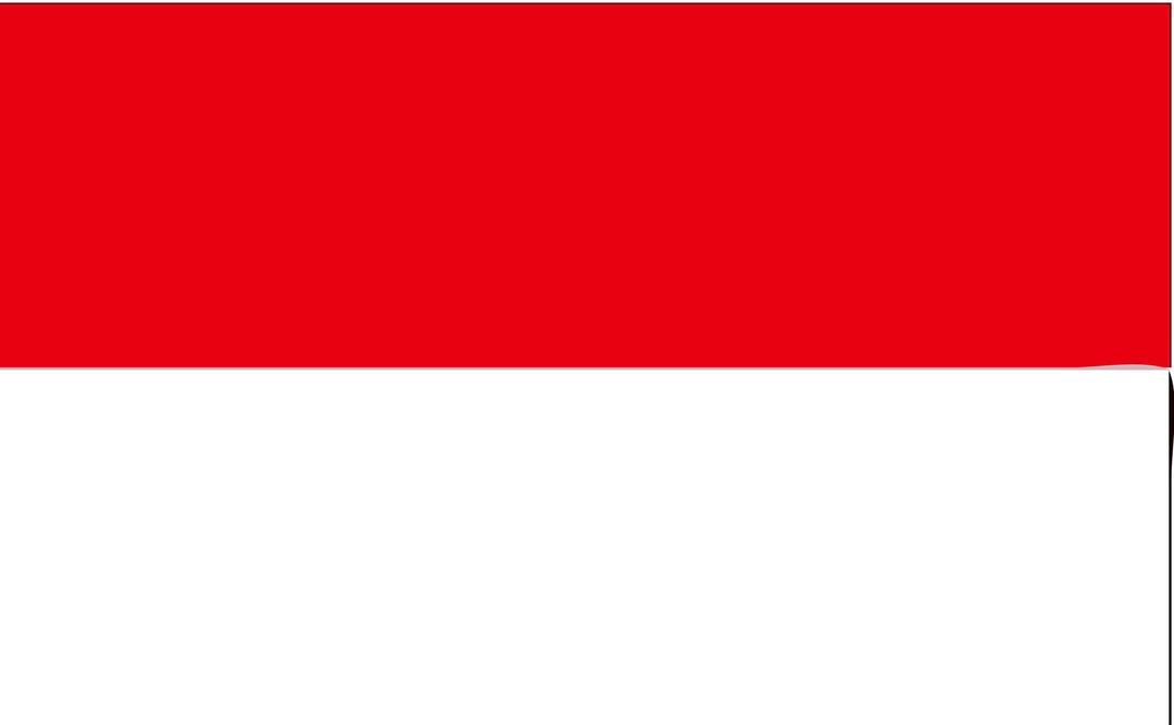 Indonesia Flag png transparent