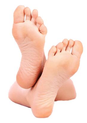 Isolated Feet Legs png transparent