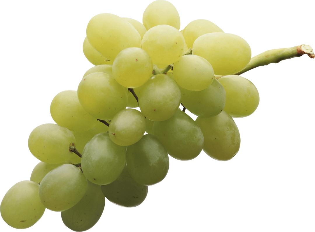 Isolated White Grape png transparent