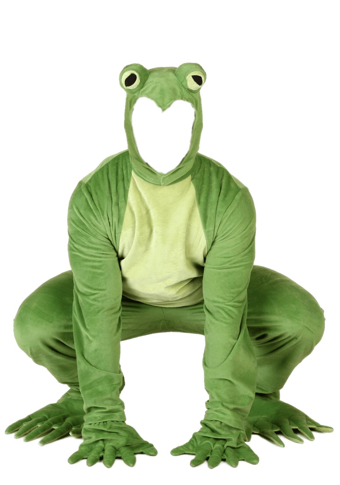 Kermit the Frog Costume Headless png transparent