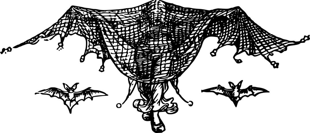 Lady in Net with Bats png transparent