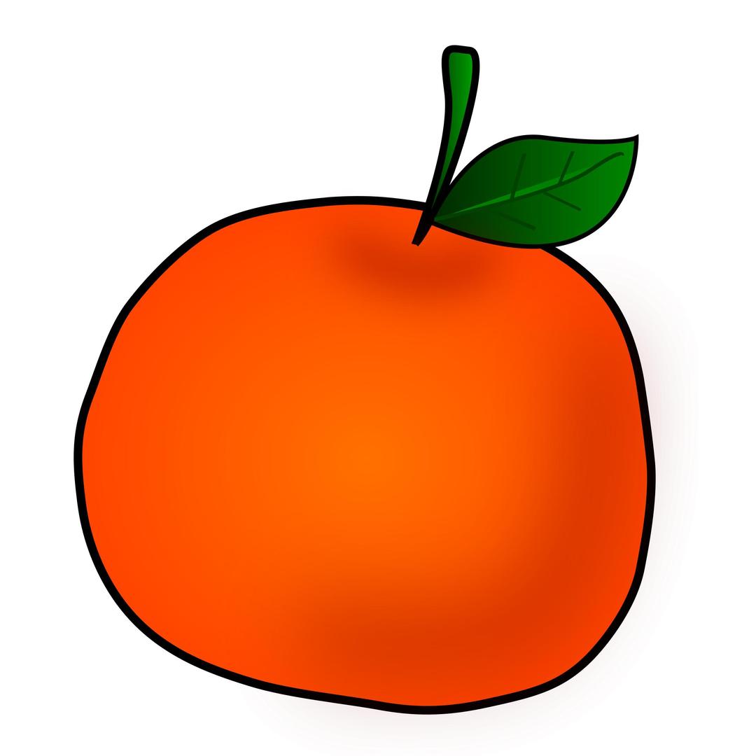 orange  png transparent