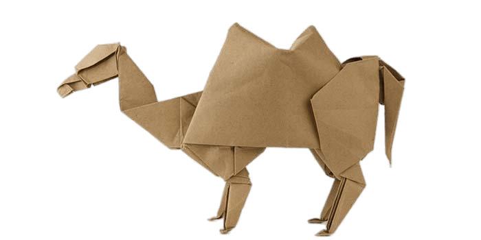 Origami Camel png transparent