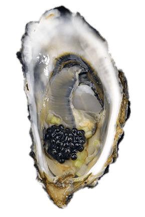 Oyster With Caviar png transparent