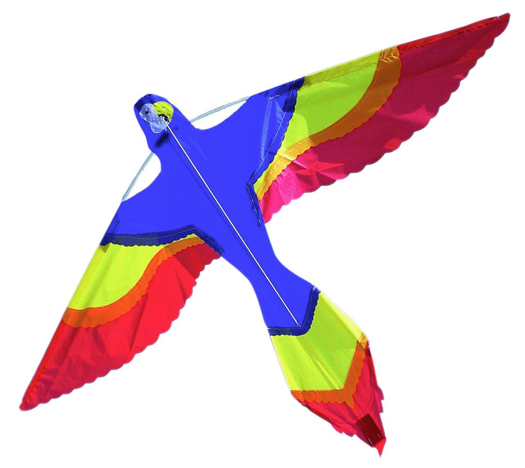 Parrot Kite png transparent