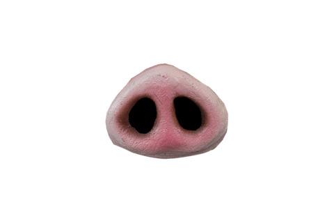 Pig Nose png transparent