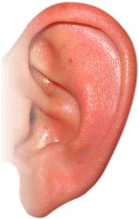Pink Ear png transparent