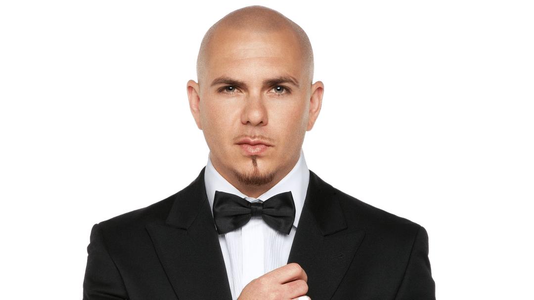 Pitbull With Bow Tie png transparent