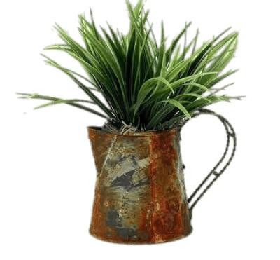Plant In Watering Can png transparent