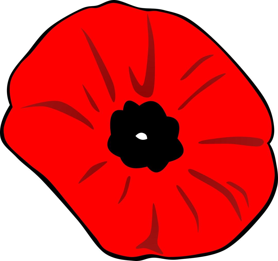 Poppy for Remembrance Day png transparent
