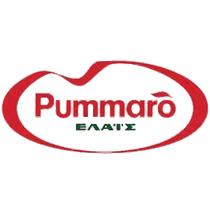 Pummaro Logo png transparent