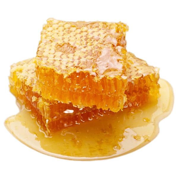 Raw Honeycomb png transparent