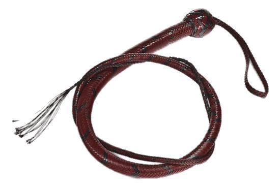 Red and Black Leather Whip png transparent