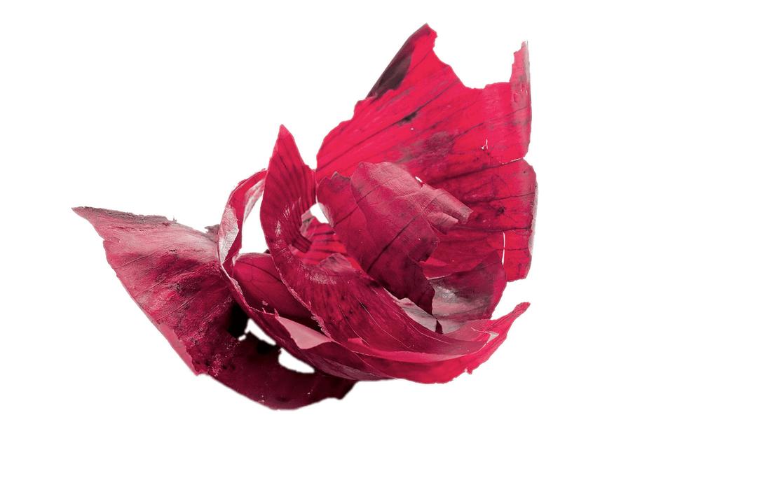 Red Onion Peels png transparent