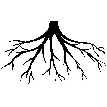Roots Black and White png transparent