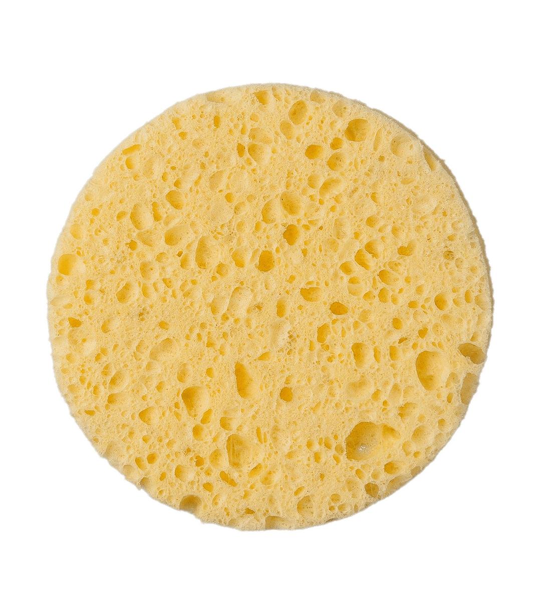 Round Sponge png transparent