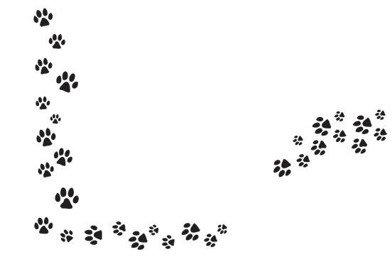 Series Of Paw Prints png transparent