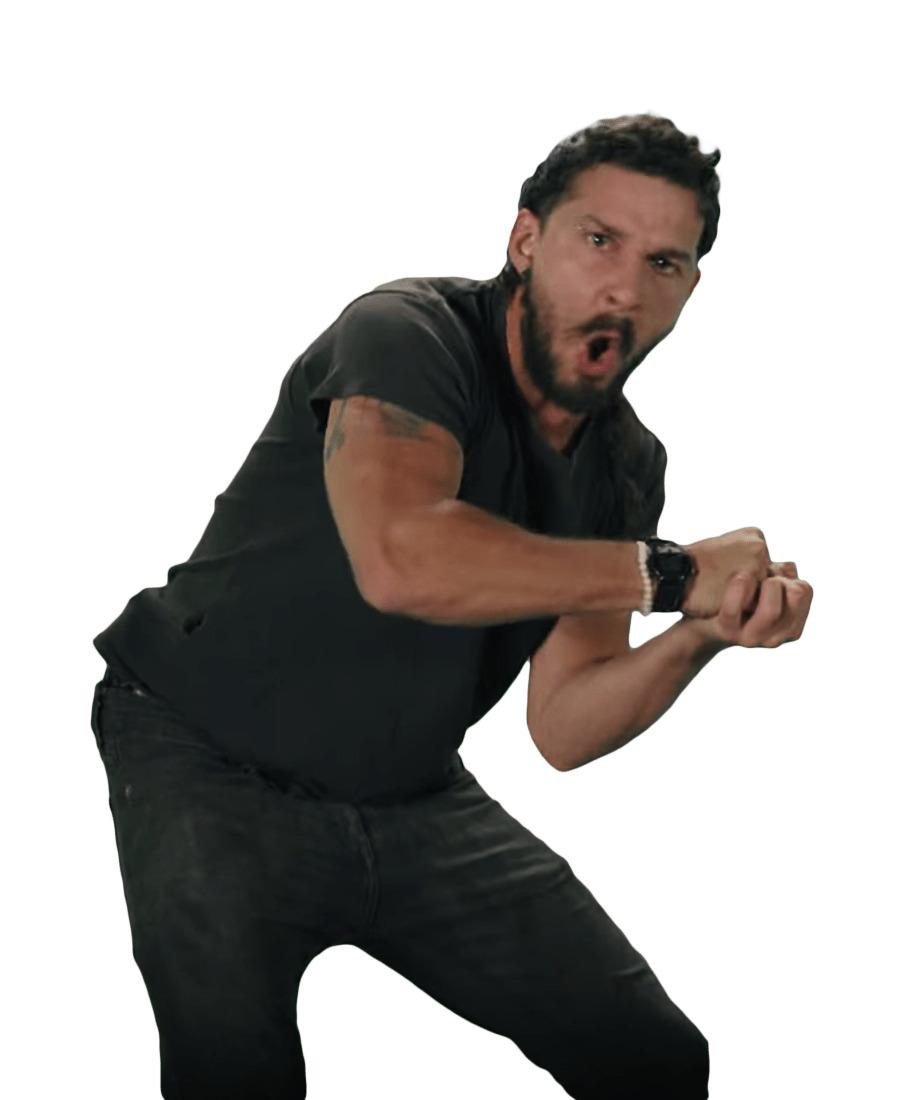 Shia LaBeouf Fists png transparent