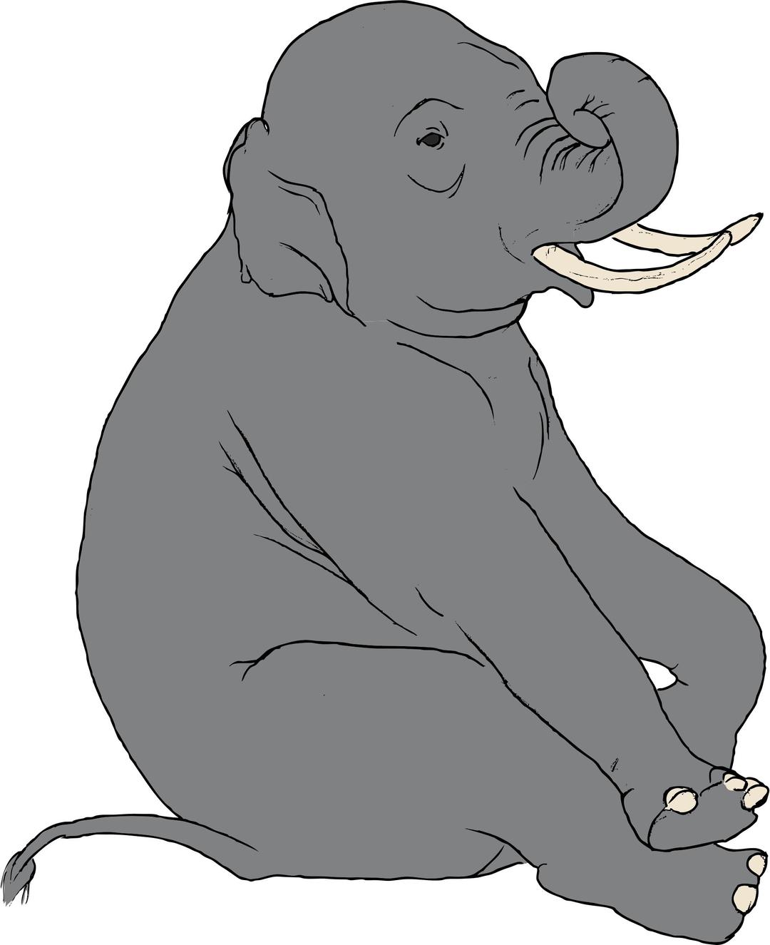Sitting Elephant png transparent