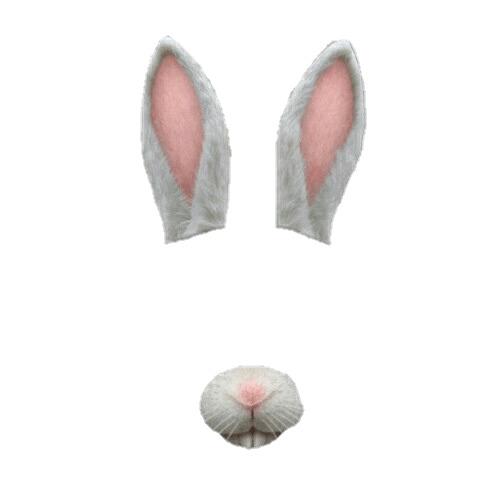 Snapchat Filter Bunny Simple png transparent