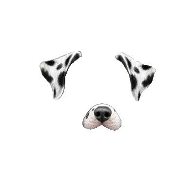 Snapchat Filter Dalmatian Dog png transparent