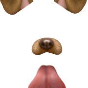 Snapchat Filter Dog Tongue png transparent
